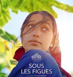 Le film « Sous les figues » et sa réalisatrice en tournée en Auvergne Rhône-Alpes