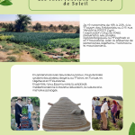 Présentation des actions de Coup de Soleil en agroécologie au Maghreb et en Mauritanie
