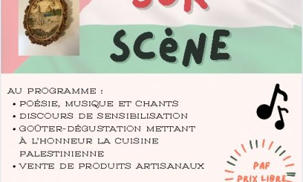 Palestine sur scène à Lyon le 15 novembre 2025